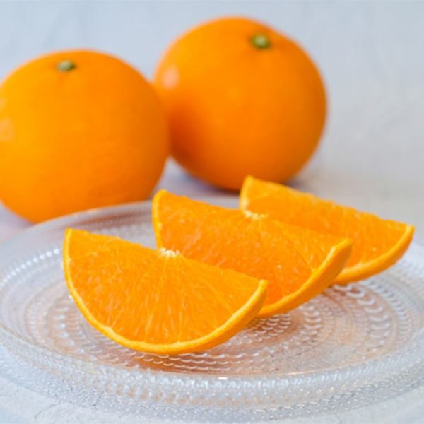 愛媛県 せとか(ご自宅用) 計5kg以上 3L〜S【お届け期間:3月1日〜3月30日】【NN】　商品画像1