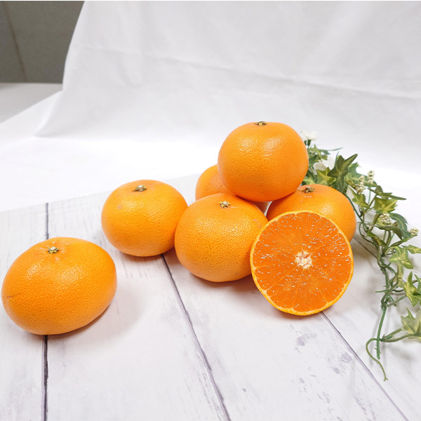 愛媛県 清見 計4.5kg以上 3L〜2L【お届け期間:3月5日〜4月14日】【NN】　商品画像1