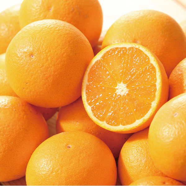 愛媛県 清見 計9kg以上 良以上 3L〜2L【お届け期間:3月5日〜4月14日】【NN】 商品画像1