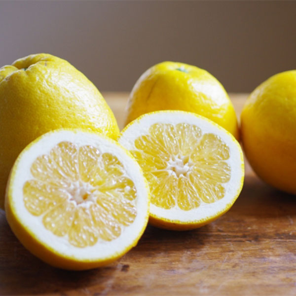 愛媛県 JAえひめ南 河内晩柑 化粧箱(小) 計1.5kg以上 M〜2S 6〜10玉【お届け期間:4月1日〜4月30日】【NN】 商品画像1