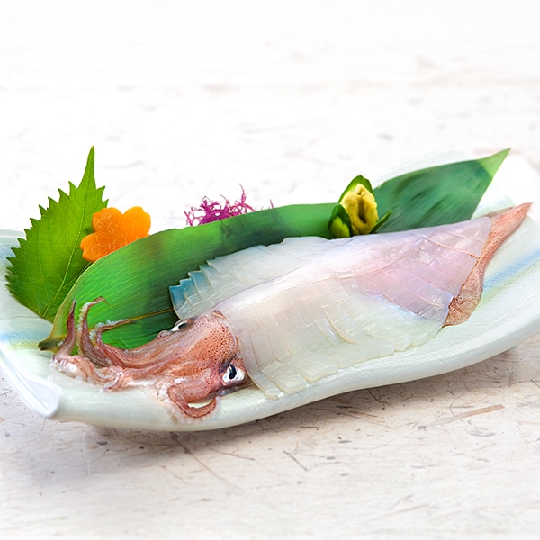 玄界灘産 剣先イカ姿造り1杯(100g)(L8095)【九州フェア】【サクワ】　商品画像1