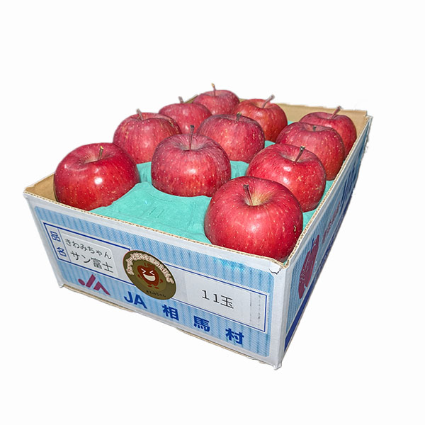 青森県産(JA相馬村) りんご サンふじ きわみちゃん 特選 2.7kg 9〜11個【限定100点】【お届け期間：2月20日〜3月10日】【お買い得セール2月】　商品画像1