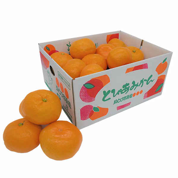 静岡県産(JAとぴあ浜松) 寿太郎みかん 3Lサイズ 2.7kg【限定300点】【お届け期間：2月24日〜3月15日】【お買い得セール2月】　商品画像1