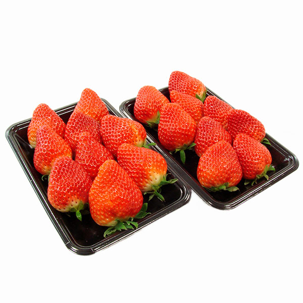 岐阜県産 いちご「華かがり」 2パック【限定200点】【お届け期間：3月1日〜3月31日】【お買い得セール2月】　商品画像1