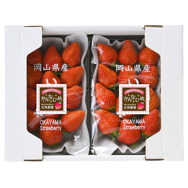 岡山県岡山市産 広岡農園の大粒いちご(かんなひめ)平パック 270g(12-15粒)2パックセット【お届け期間:2月15日〜4月30日】【NN】　商品画像1