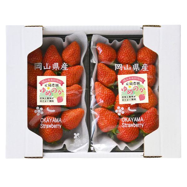 岡山県岡山市産 広岡農園の大粒いちご(ゆめのか)平パック 270g(12-15粒)2パックセット【お届け期間:2月15日〜4月30日】【NN】　商品画像1