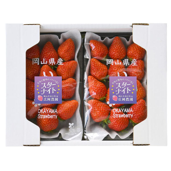 岡山県岡山市産 広岡農園の大粒いちご(スターナイト)平パック 270g(12-15粒)2パックセット【お届け期間:2月15日〜4月30日】【NN】　商品画像1