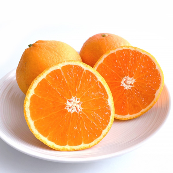 和歌山県産(JAわかやま ありだ地域本部)清見オレンジ5kg【お届け期間:2026年3月10日〜2026年3月25日】【NN】　商品画像1