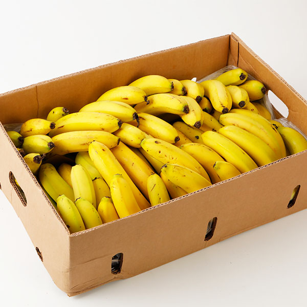 フィリピン産 不揃いバナナ 甘熟王 15kg以上 80本前後【限定200点】【超！春トク祭り】　商品画像1