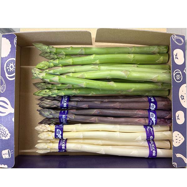 福岡県産 太芽アスパラガス 3色セット 計900g【お届け期間：3月20日〜4月30日】【超！春トク祭り】　商品画像1