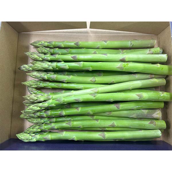 福岡県産 アスパラガス グリーン ご自宅用 800g 【お届け期間:3月20日〜4月30日】【超!春トク祭り】 商品画像1