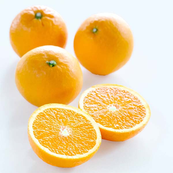 愛媛県八幡浜市産 清見 ご自宅用 わけあり 4kg S〜2Lサイズ【限定500点】【お届け期間：3月20日〜4月30日】【超！春トク祭り】　商品画像1