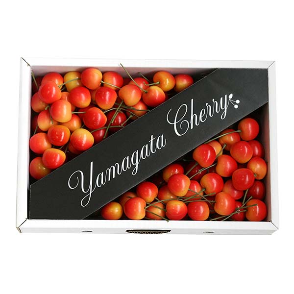 山形県産 さくらんぼ 佐藤錦 600g お徳用 小粒 色ムラあり【限定300点】【お届け期間:6月15日〜6月30日】【超!春トク祭り】 商品画像1