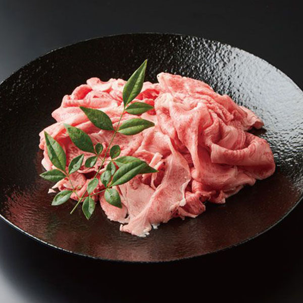 岐阜県産 飛騨牛切りおとし 600g(300g×2)【GW】　商品画像1