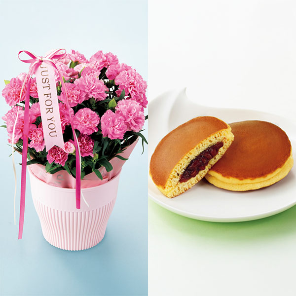 アサミグリーンプランツ カーネーション「ホットハート」(SUSTEE付)＋文明堂 月三笠2個入【母の日】　商品画像1