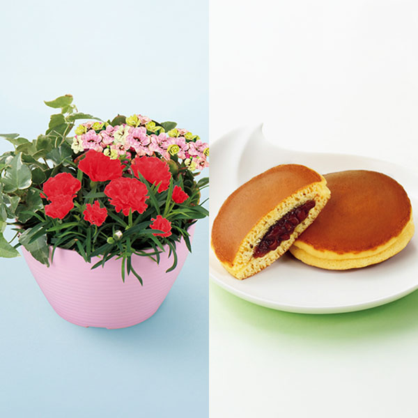 アサミグリーンプランツ カーネーションの寄せ植え(SUSTEE付)＋文明堂 月三笠2個入【母の日】　商品画像1