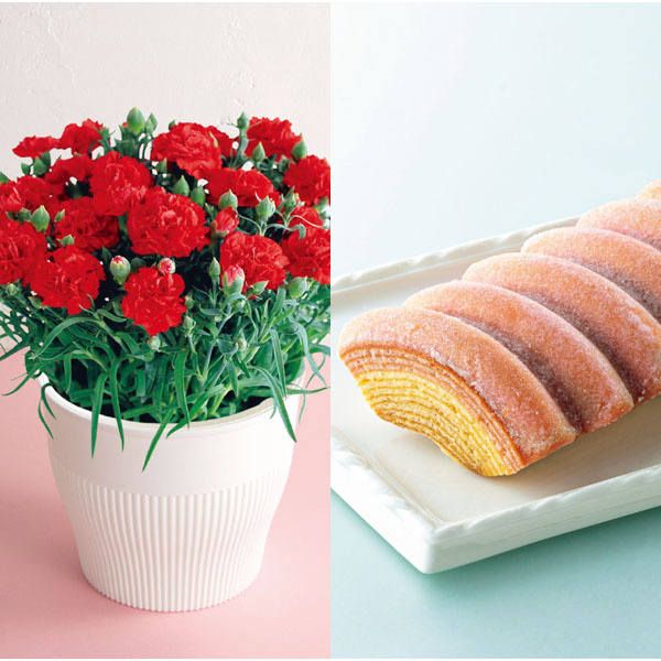 アサミグリーンプランツ カーネーション「伝えたい想い」(SUSTEE付)+神戸スイーツポートの母の日2層バウム(プレーン&いちご)【母の日】 商品画像1