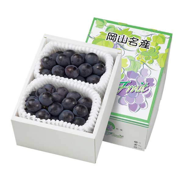 岡山県産 種なしピオーネ2房入(お届け期間：8/21〜8/31)【夏の贈りもの・お中元】　商品画像1