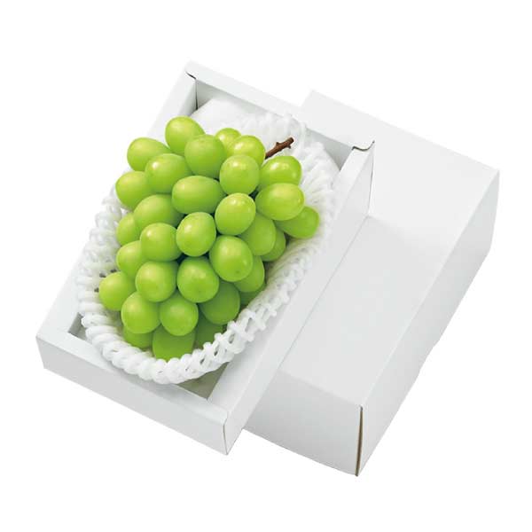 岡山県産 シャインマスカット1房入(お届け期間：8/21〜8/31)【夏の贈りもの・お中元】　商品画像1