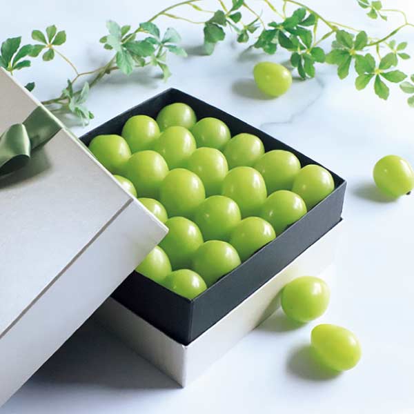 岡山県産 ぶどうの宝石箱ヴェレゾンルミエール(お届け期間：8/21〜8/31)【夏の贈りもの・お中元】　商品画像1