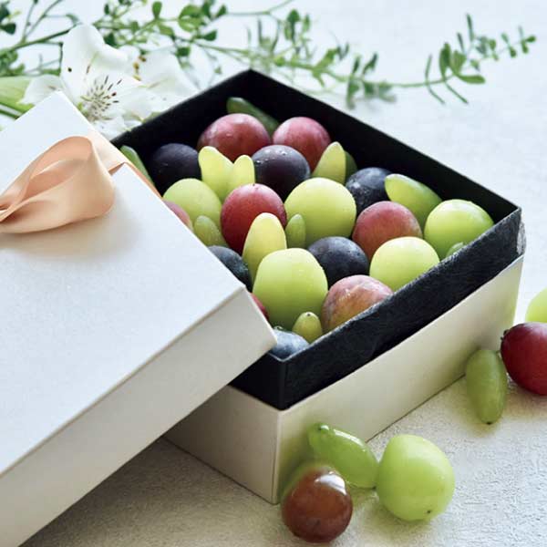 岡山県産 ぶどうの宝石箱ヴェレゾンブランシュ(お届け期間：8/21〜8/31)【夏の贈りもの・お中元】　商品画像1