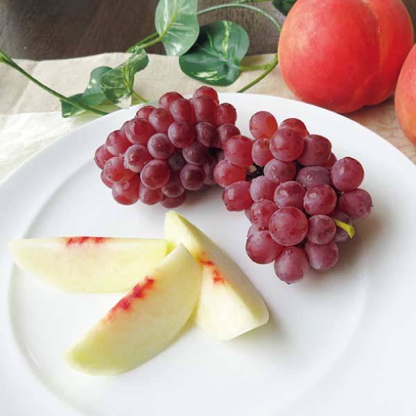 山形県産 山形・夏のフルーツセット(2種)(お届け期間：8/21〜8/31)【夏の贈りもの・お中元】　商品画像1