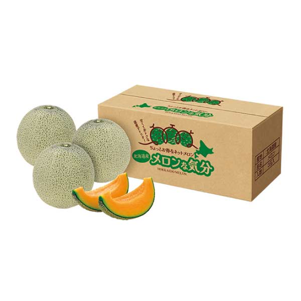 北海道産 自宅用北海道わけあり赤肉メロン(お届け期間：8/21〜8/31)【夏の贈りもの・お中元】　商品画像1