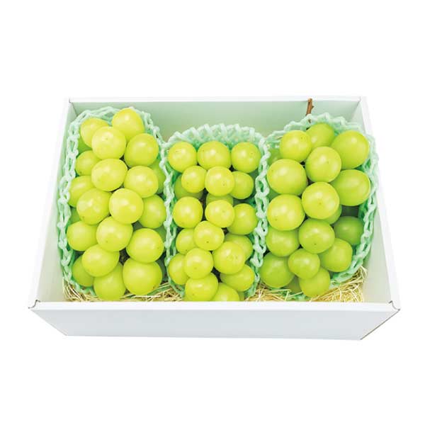 山梨県産 シャインマスカット 3房(お届け期間：8/21〜8/31)【夏の贈りもの・お中元】　商品画像1