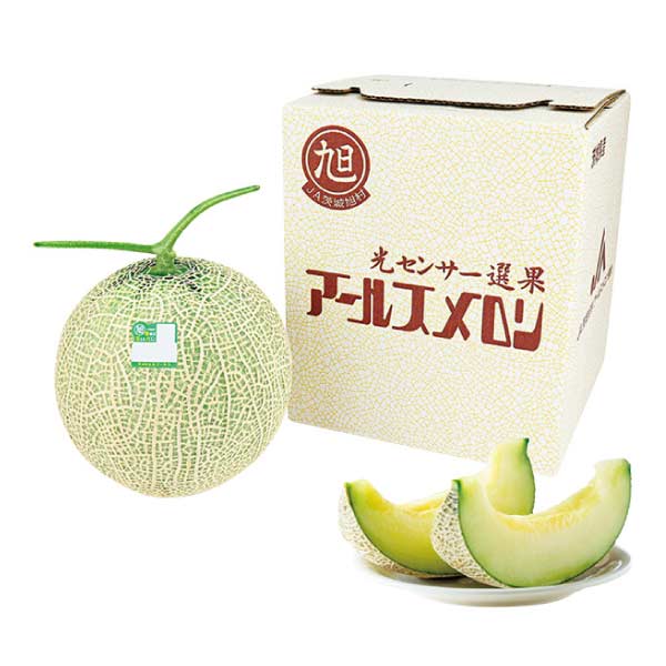 茨城県産 JA茨城旭村アールスメロン 1個(お届け期間：8/21〜8/31)【夏の贈りもの・お中元】　商品画像1