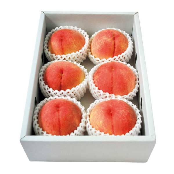 長野県産 長野の桃1.5kg(お届け期間：8/21〜8/31)【夏の贈りもの・お中元】　商品画像1