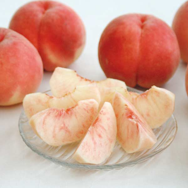 山形県産 おどろき桃(かたい桃)(お届け期間：8/21〜8/31)【夏の贈りもの・お中元】　商品画像1