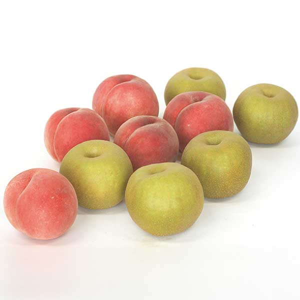 山形県産 幸水梨と川中島白桃詰合せ(お届け期間：8/21〜8/31)【夏の贈りもの・お中元】　商品画像1