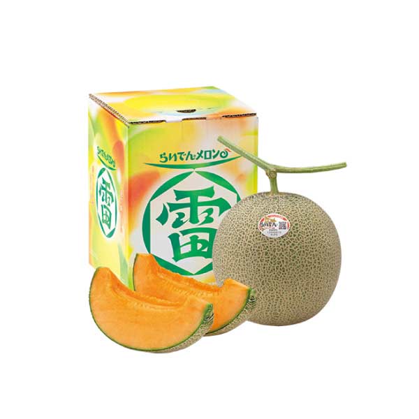 北海道共和町産(JAきょうわ) らいでんメロン 秀品2L1個(お届け期間：8/21〜8/31)【夏の贈りもの・お中元】　商品画像1