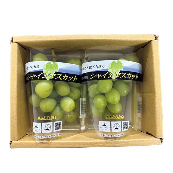 山梨県産(JAふえふき) ふえふきのシャインマスカット(お届け期間：8/21〜8/31)【夏の贈りもの・お中元】　商品画像1