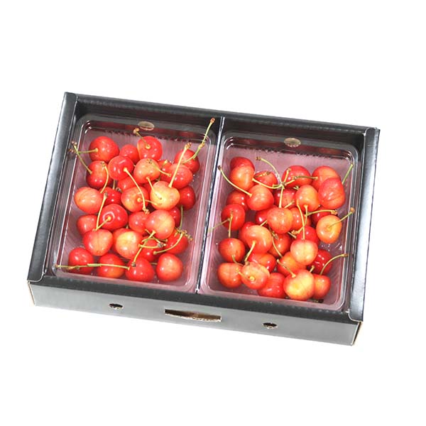 山形県産 さくらんぼ 大将錦 600g【限定100点】【お届け期間：6月20日〜7月5日】【おいしいお取り寄せ】　商品画像1