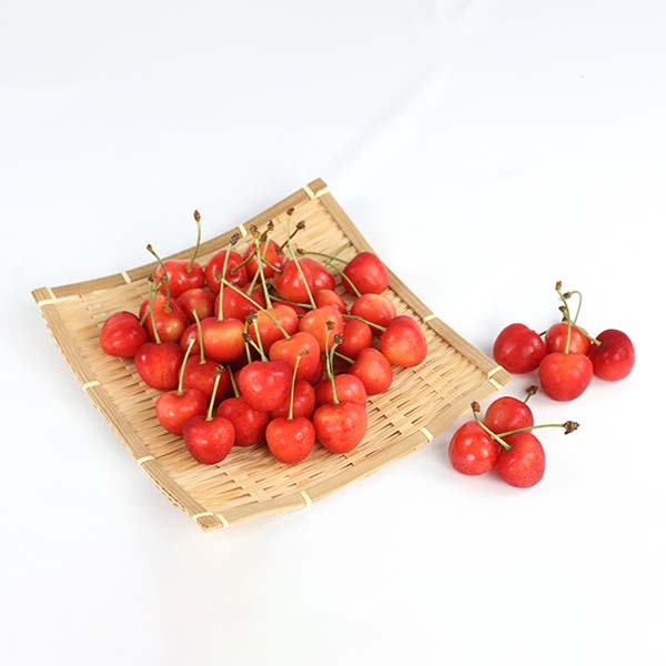 山形県産 さくらんぼ 大将錦 1kg【限定100点】【お届け期間：6月20日〜7月5日】【おいしいお取り寄せ】　商品画像1