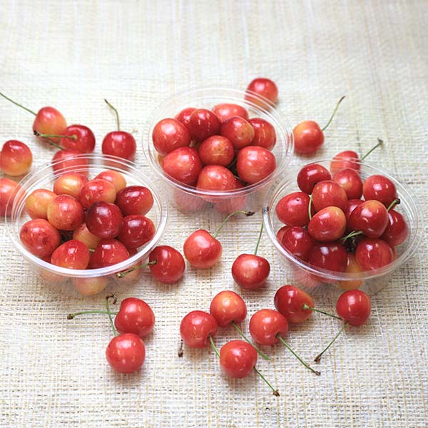 山形県産(寒河江市) 品評会等多数受賞生産者の佐藤錦または紅秀峰 秀品 600g L以上【限定100点】【お届け期間：6月18日〜7月5日】【おいしいお取り寄せ】　商品画像1