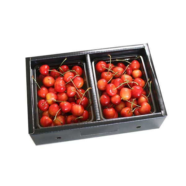 山形県産(寒河江市) 品評会等多数受賞生産者の佐藤錦または紅秀峰 秀品 1kg  L以上【限定100点】【お届け期間：6月18日〜7月5日】【おいしいお取り寄せ】　商品画像1