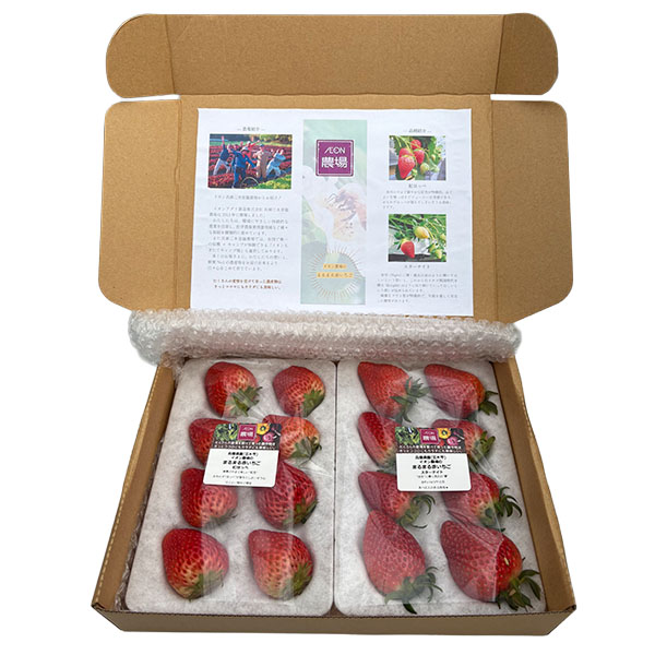 兵庫県産(イオン三木里脇農場)イオン農場いちご(スターナイト・紅ほっぺ)1箱2パック入り(250g×2)【お届け期間:3月7日〜3月31日】【NN】　商品画像1