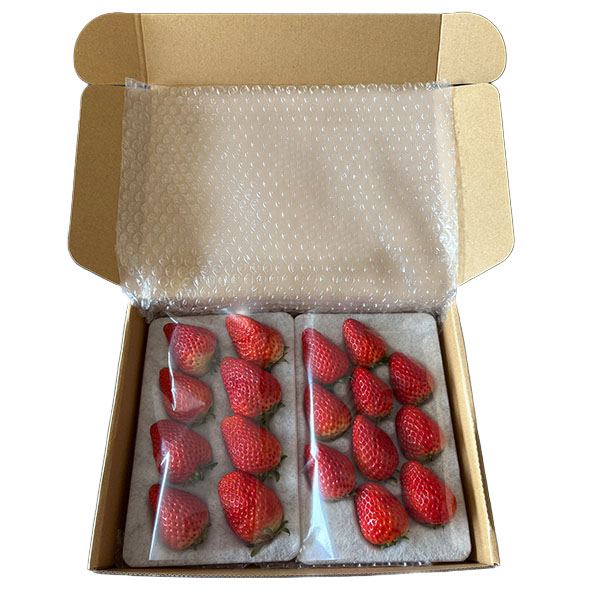 島根県産(イオン島根安来農場) イオン農場いちご(スターナイト・紅ほっぺ) 1箱2パック入り(250g以上×2)【お届け期間:3月20日〜3月31日】【NN】 商品画像1