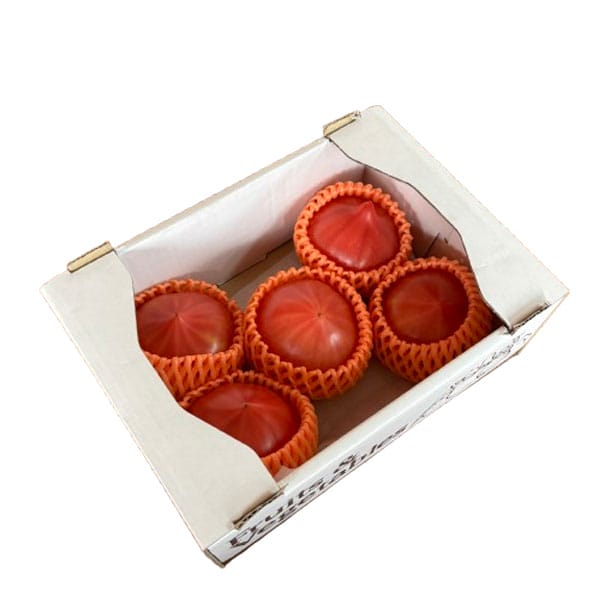 愛知県産JA愛知みなみ ファーストトマト 5〜6玉入り(MもしくはLサイズ)【超！春トク祭り】【CB】　商品画像1