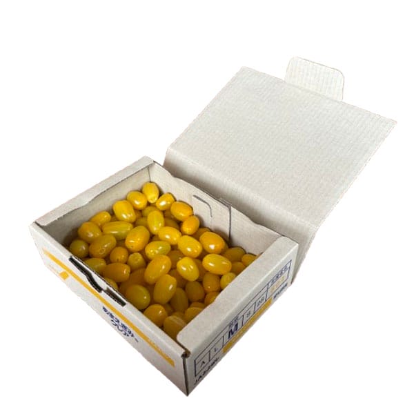 愛知県産JAとよはし ミニトマト クレアイエロー 1kg(MもしくはLサイズ)【超！春トク祭り】【CB】　商品画像1