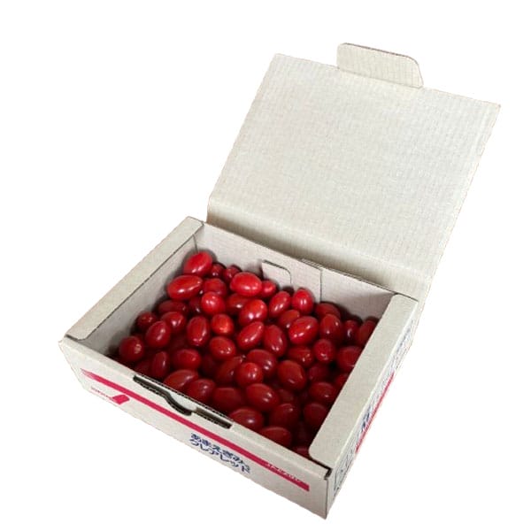 愛知県産JAとよはし ミニトマト クレアレッド 1kg(MもしくはLサイズ)【CB】　商品画像1