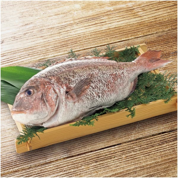 三重 尾鷲物産 三重県産活〆養殖真鯛（ウロコ、エラ、ワタ取り）【CB】　商品画像1