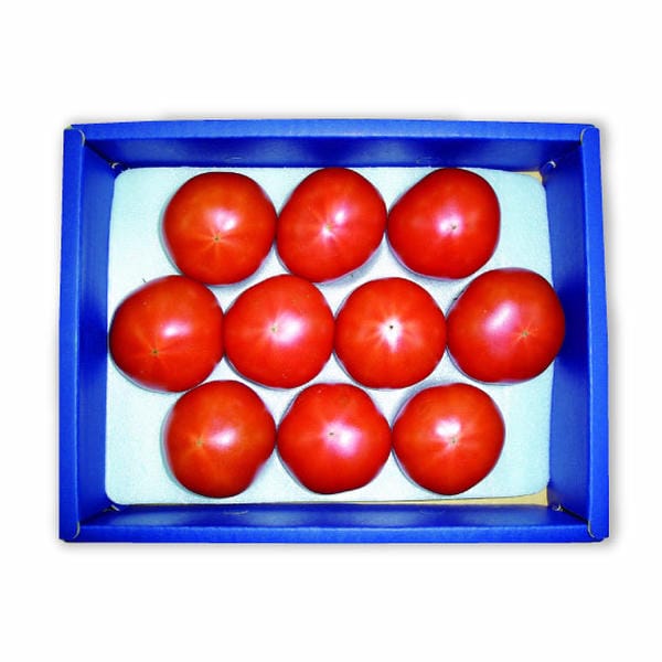 茨城県 筑西市地区・桜川市地区 スーパーフルーツトマトギフト(小)7〜13玉入り【お届け期間:5月7日〜6月15日】【KN】　商品画像1