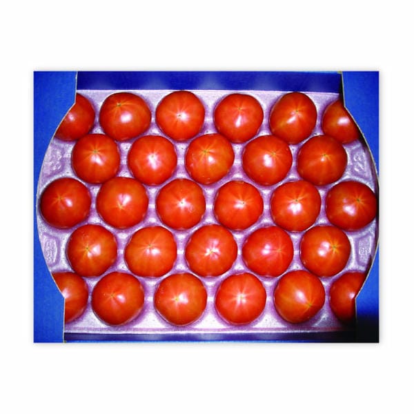 茨城県 筑西市地区・桜川市地区 スーパーフルーツトマトギフト(大)18〜39玉入り【お届け期間:5月7日〜6月15日】【KN】　商品画像1