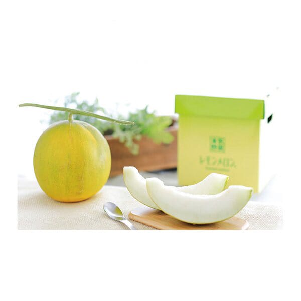 茨城県 県西地区 レモンメロン 1個入り化粧箱【限定50点】【お届け期間:7月1日〜7月20日】【KN】　商品画像1