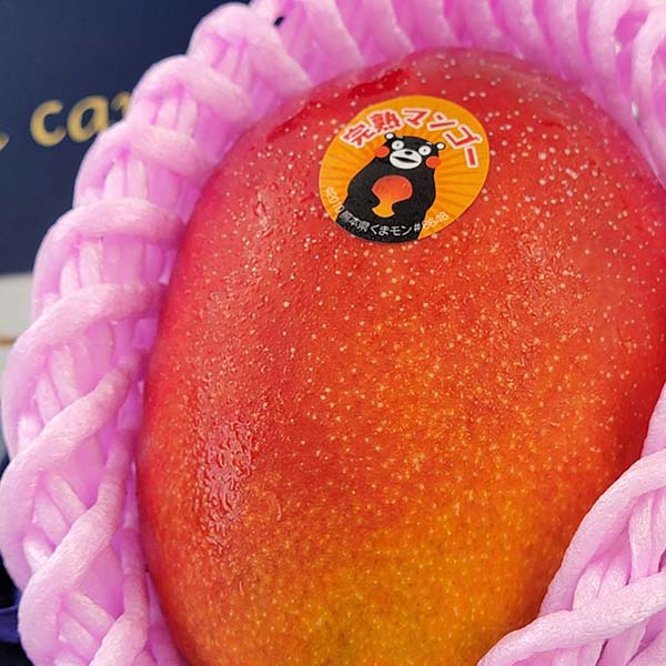 熊本県産 マンゴー 3L〜2L 1玉 化粧箱入【お届け期間：5月8日〜5月31日】【Ａセレクション5月】　商品画像1