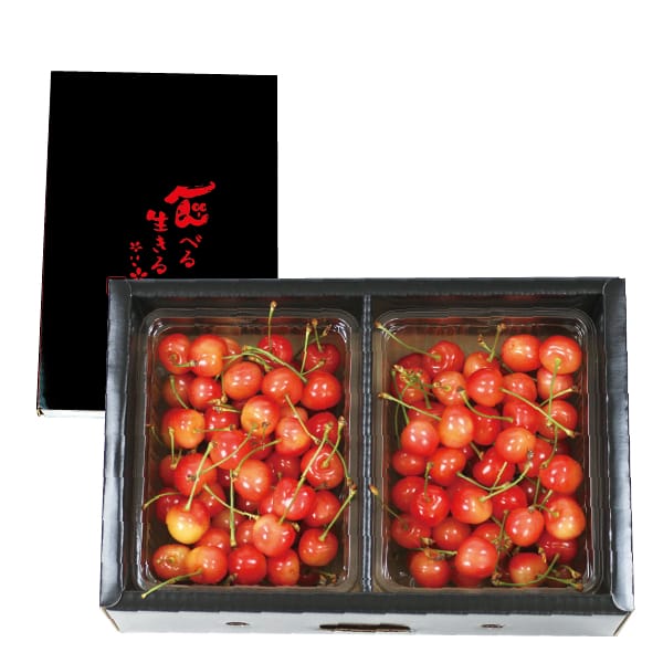 山形県産(東根市) 若手さくらんぼ栽培グル-プの佐藤錦または紅秀峰(秀品 600gバラ)【お届け期間:6月14日〜7月5日】【MK】　商品画像1