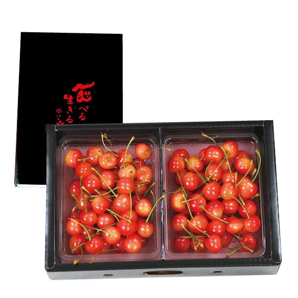 山形県産(東根市) 若手さくらんぼ栽培グル-プの佐藤錦または紅秀峰(秀品 800gバラ)【お届け期間:6月14日〜7月5日】【MK】　商品画像1